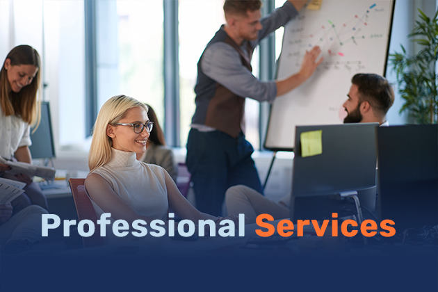 Professional-Services-1